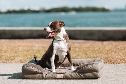 The Milo Bed